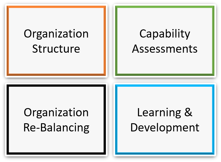 organization assessment